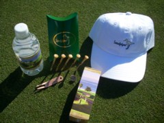 Sandpiper Outing Packages